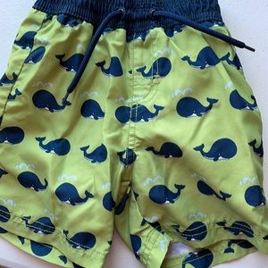 Swim trunks and swim shirt